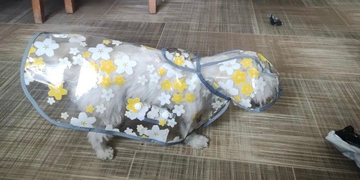 Imperméable léger pour chien à motif floral | Manteau imperméable pour chien