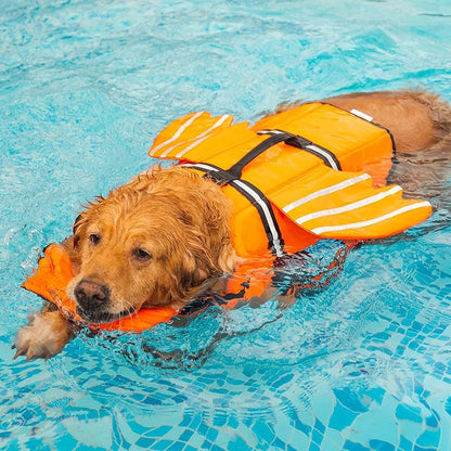 Memo Fish LifeJacket