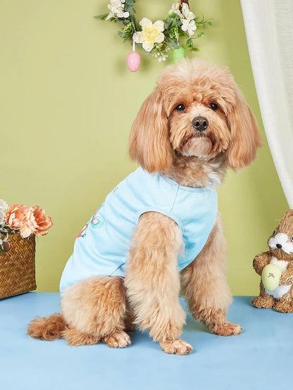 Chemise bleue de Pâques