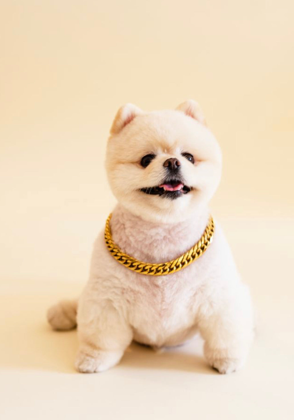 Collier Pawpac