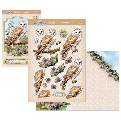 Ensemble Deco-Large Magnifiques Oiseaux - Belle Chouette Effraie
