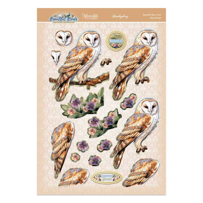 Ensemble Deco-Large Magnifiques Oiseaux - Belle Chouette Effraie