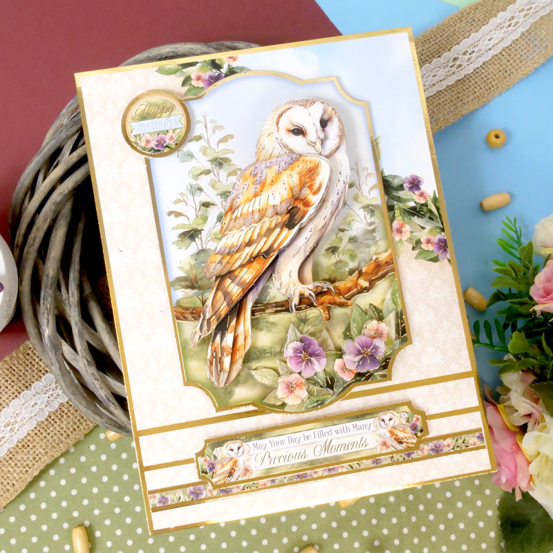 Ensemble Deco-Large Magnifiques Oiseaux - Belle Chouette Effraie