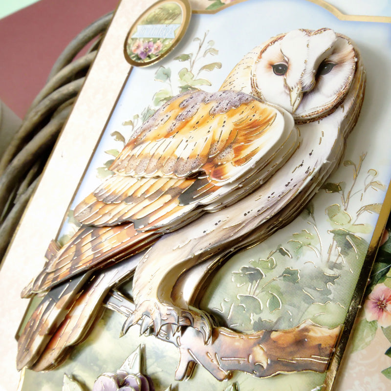 Ensemble Deco-Large Magnifiques Oiseaux - Belle Chouette Effraie