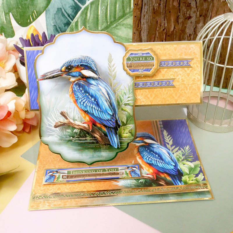 Collection Oiseaux Merveilleux Deco-Large