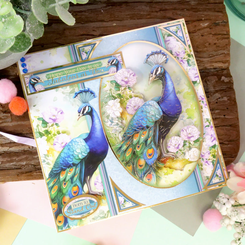 Collection Oiseaux Merveilleux Deco-Large
