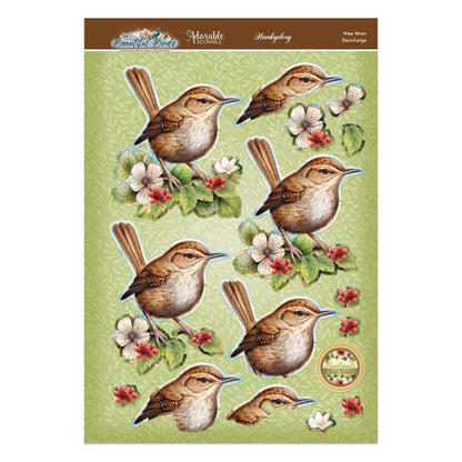 Joli Ensemble Deco-Large Oiseaux - Troglodyte Mignon