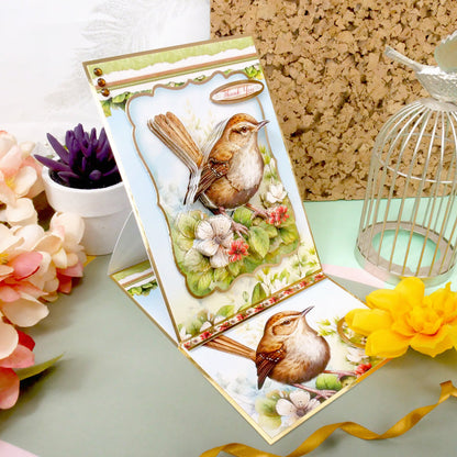 Collection Oiseaux Merveilleux Deco-Large