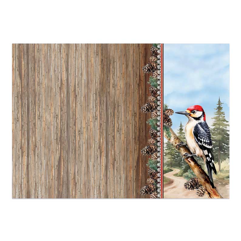 Magnifique kit Deco-Large Oiseaux - Merveilleux Pic