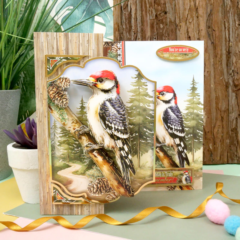 Magnifique kit Deco-Large Oiseaux - Merveilleux Pic