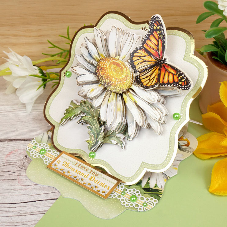 Kit de Décoration Grand Format En Pleine Floraison - Doux Comme des Marguerites