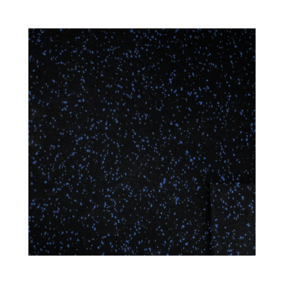 HAJEX Tapis de Sol Durs pour Salle de Sport - Lot de 6