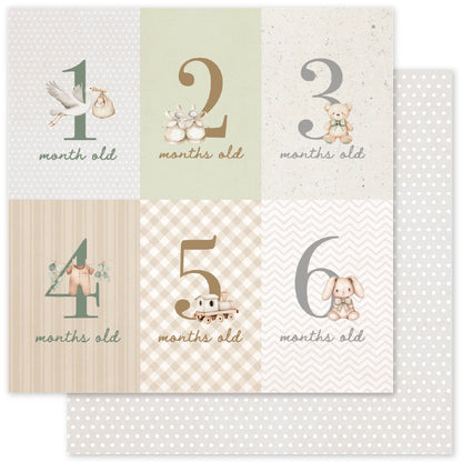 Collection de papiers Boho Baby Basics 12x12 35101