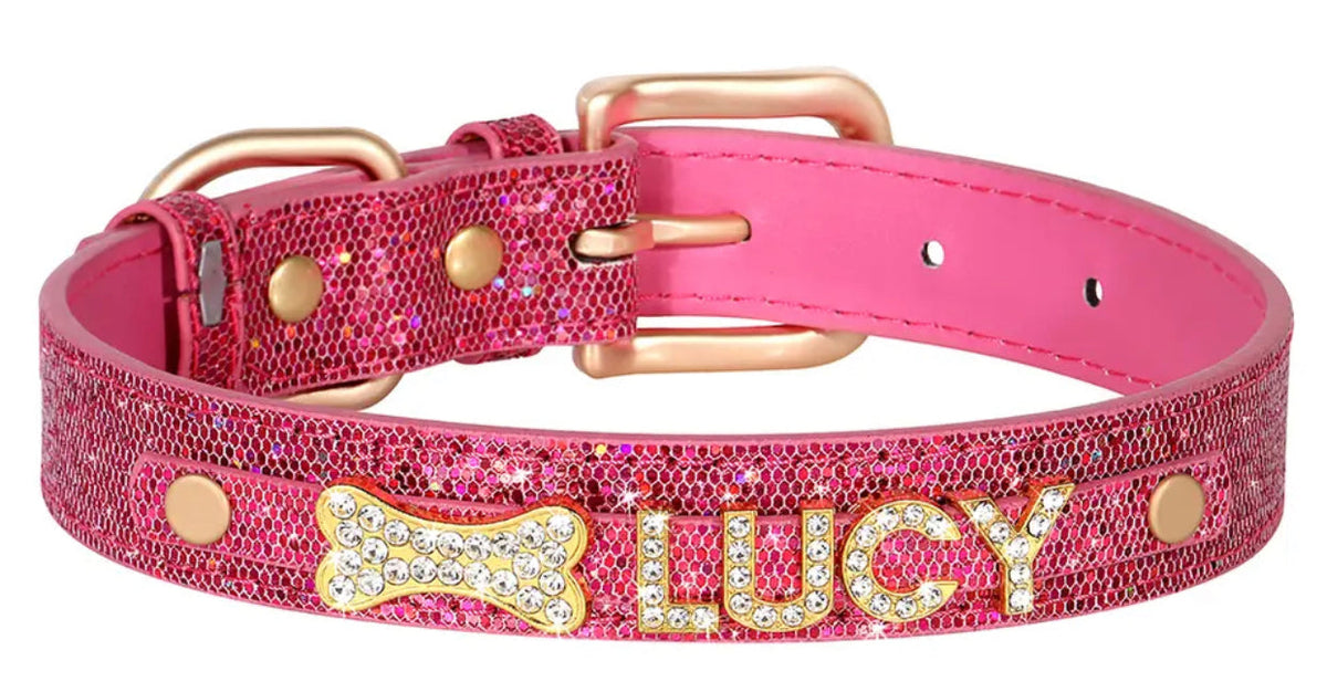 Collier pour chien avec nom Flamingo Crown | Collier pour chien personnalisé