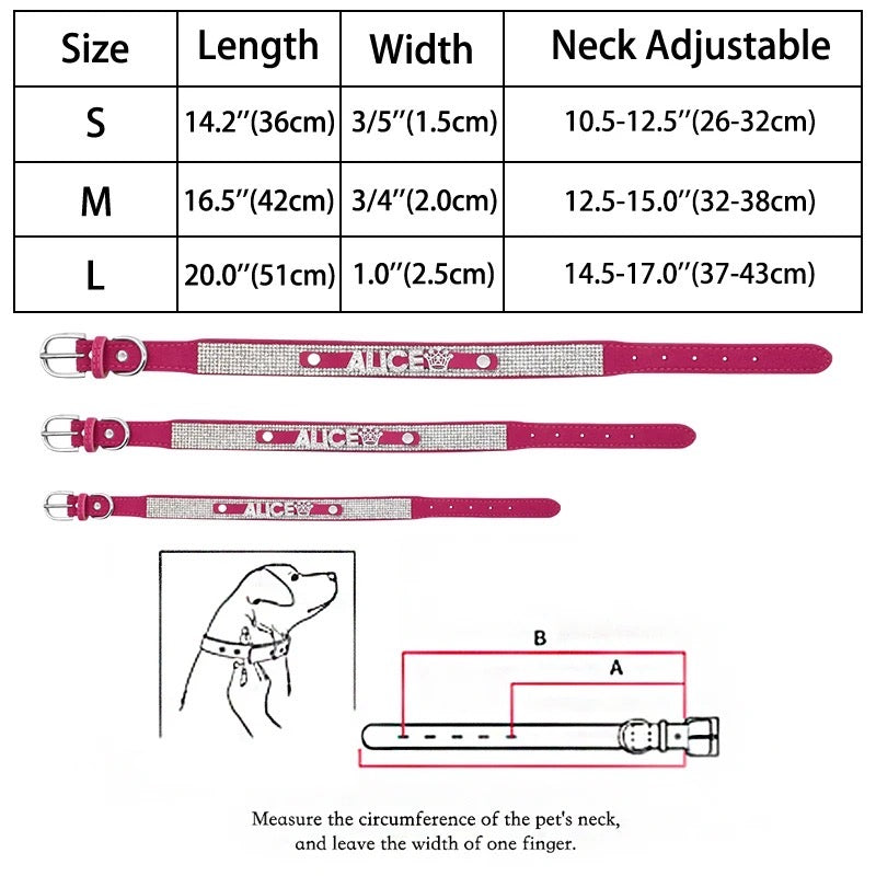 Collier pour chien avec nom personnalisé | Collier personnalisé pour animaux de compagnie