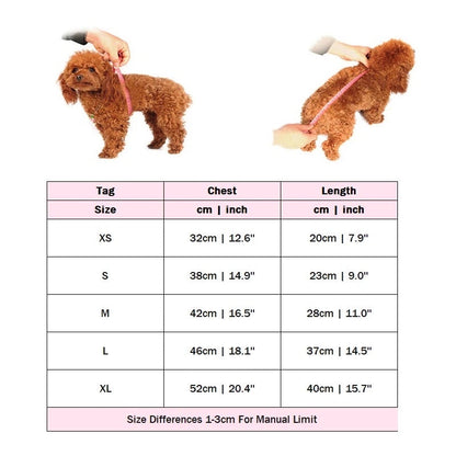 Robe tutu Coco Fashion pour chien