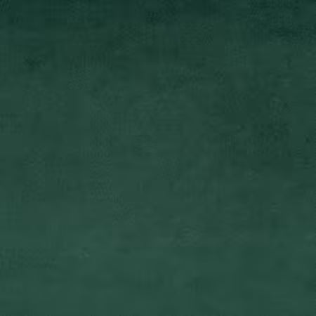 Shannon Fabrics - Cuddle - Cuddle uni vert sapin 228 cm de large