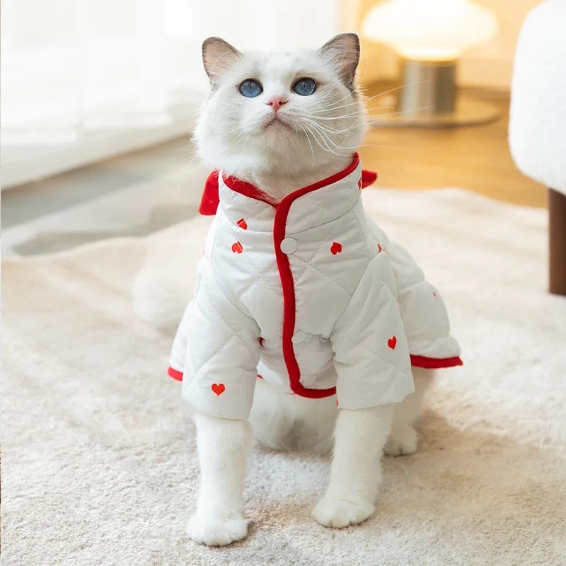 Veste de la Saint-Valentin