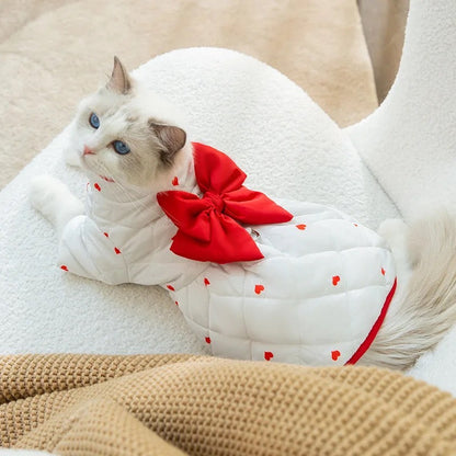 Veste de la Saint-Valentin