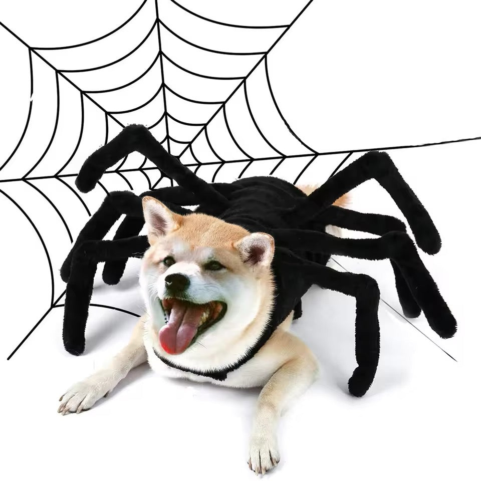 Spider Dog Halloween Costume | Dog Costume Outfit