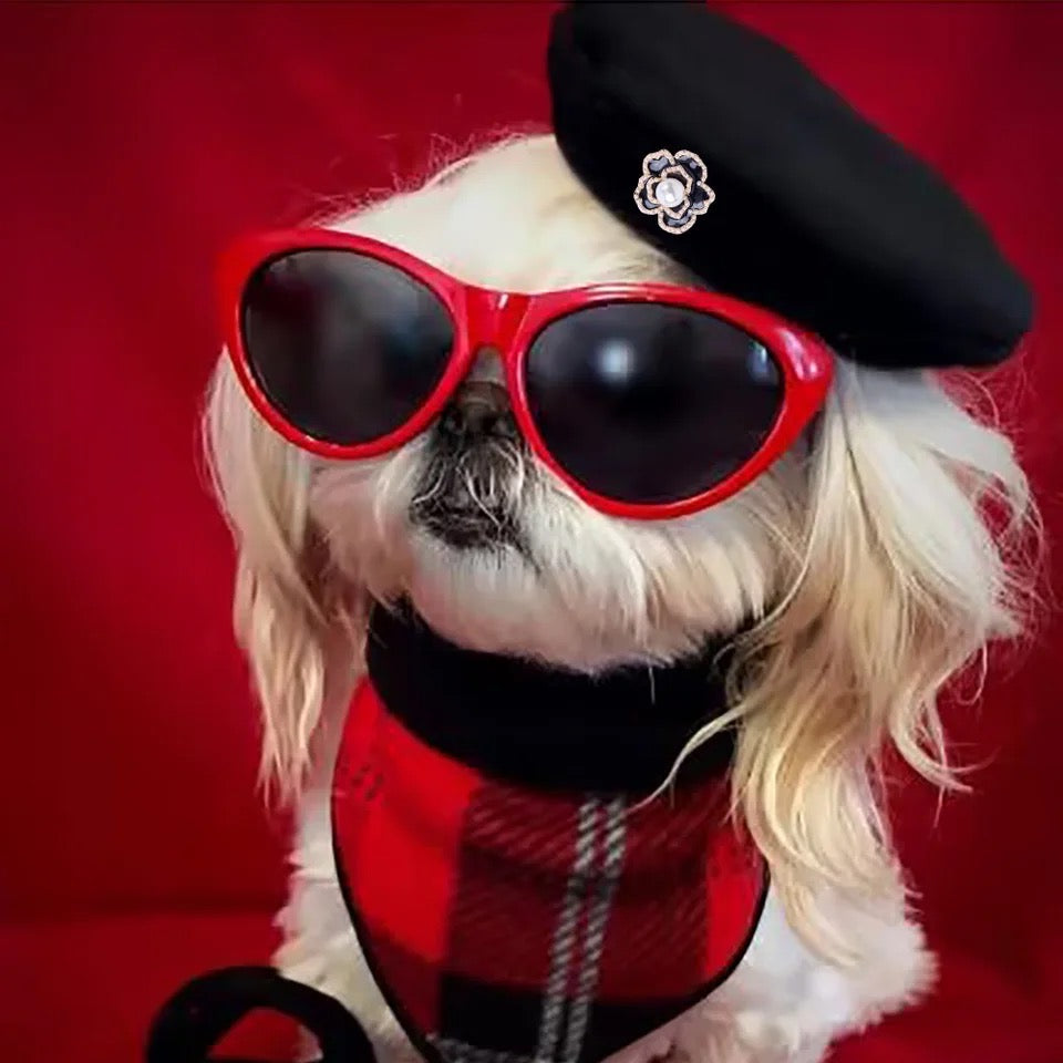 Béret pour Chien | Béret Classique Coco pour Chien