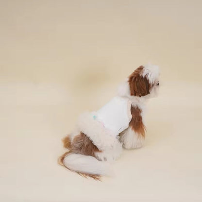 Robe pour Chienne Tina – Robe Élégante en Tulle pour Chienne