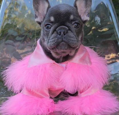 Robe Princesa pour chien | Robe de luxe pour animaux de compagnie