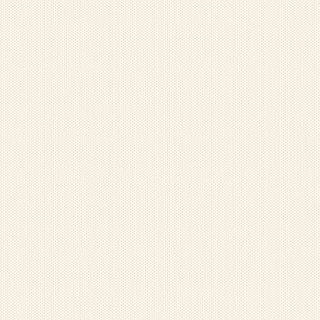 Riley Blake - Poparazzi In Color - Cream