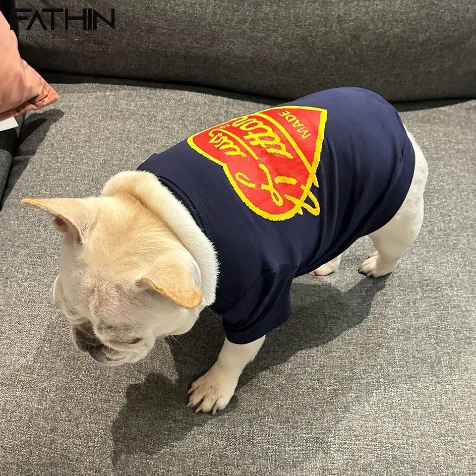 Pull pour chien Chewy Pawtton | Pull pour animaux de compagnie