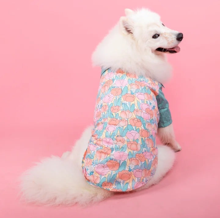 Robe/Chemise Pétunia