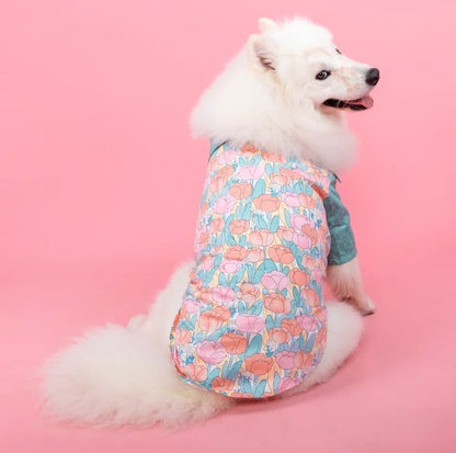 Robe/Chemise Pétunia