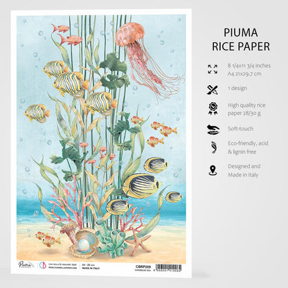 Ciao Bella Papier de Riz A4 Mer des Caraïbes