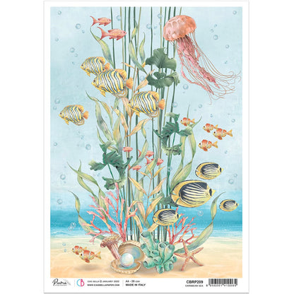 Ciao Bella Papier de Riz A4 Mer des Caraïbes