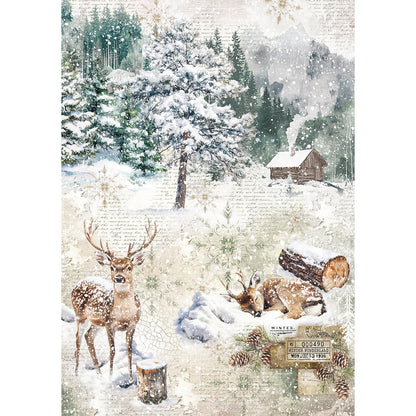 Papier de Riz A5 MIXTE 8/Paquet Contes de la Forêt