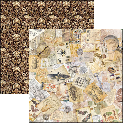 Cabinet Of Curiosities Patterns Pad 12"x12" 8/Pkg