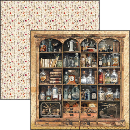 Cabinet Of Curiosities Patterns Pad 12"x12" 8/Pkg