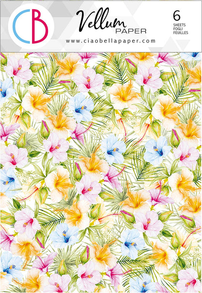 Ciao Bella Vellum Brise d'été Motifs de papier A4 6/paquet