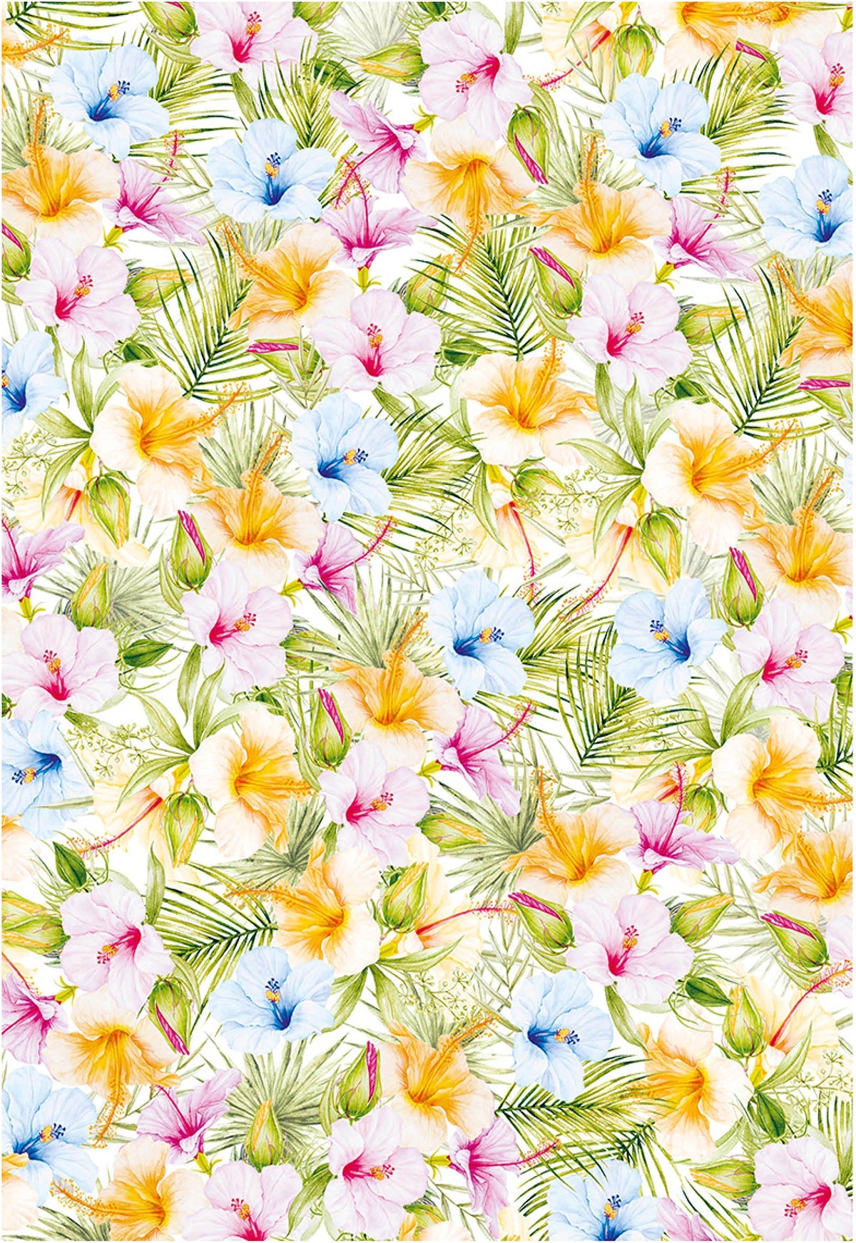 Ciao Bella Vellum Brise d'été Motifs de papier A4 6/paquet