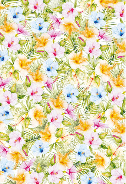 Ciao Bella Vellum Brise d'été Motifs de papier A4 6/paquet