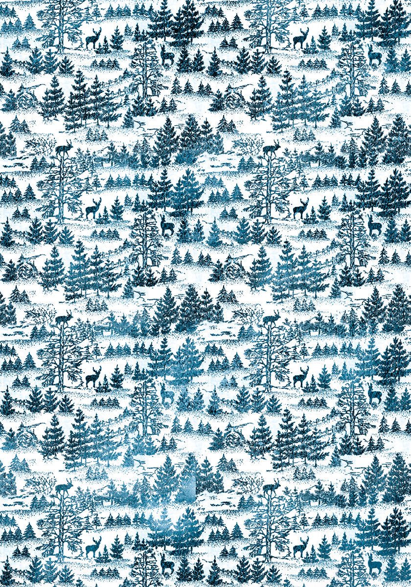 Bloc de papiers Ciao Bella Vellum Winter Journey A4 6 feuilles