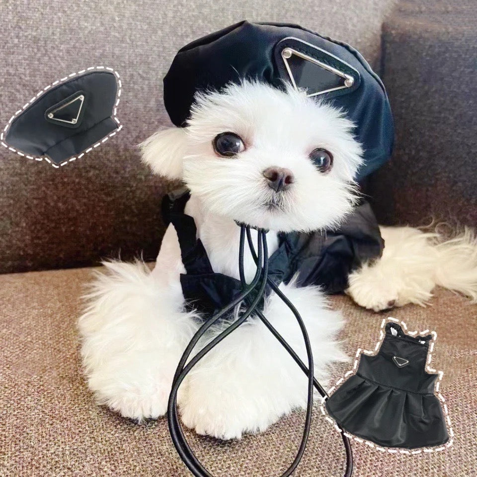 Pawda Hat and Dress Set – Dog Outfit Set