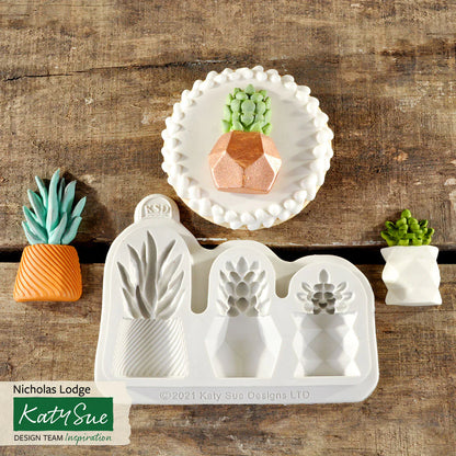 Moule en silicone pour pots de plantes grasses