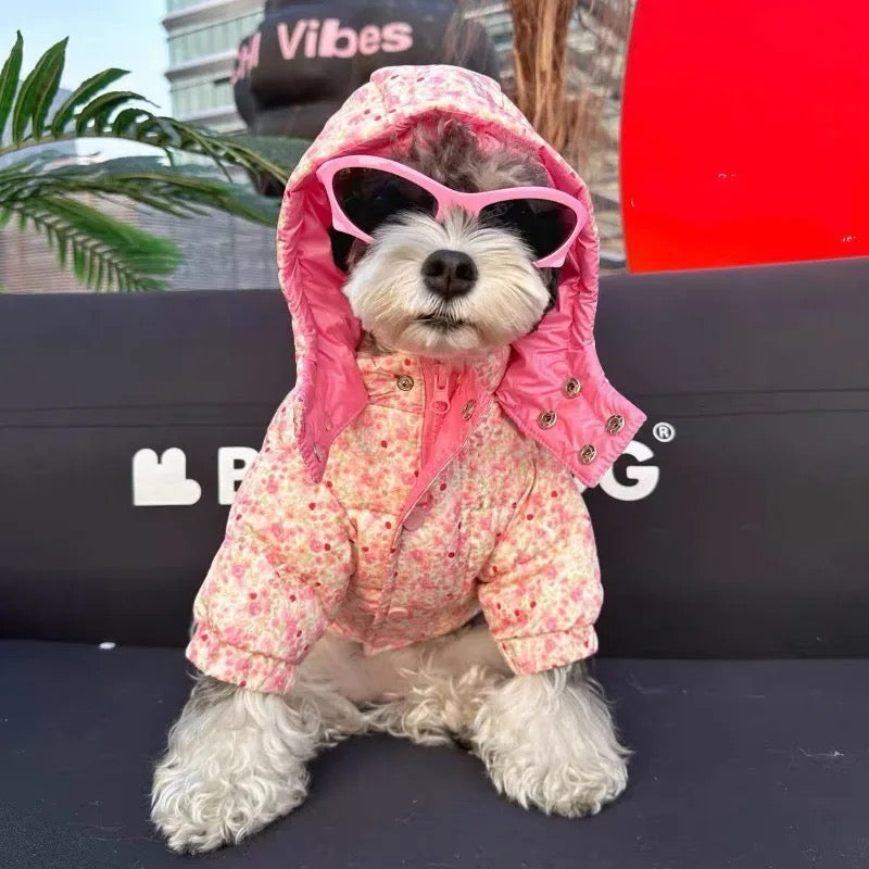 Veste de printemps