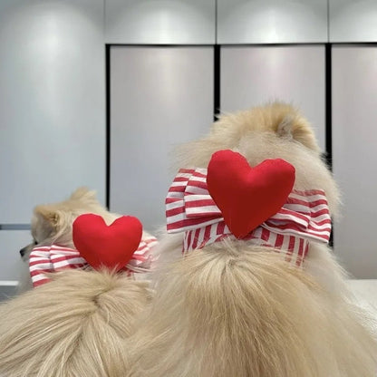 Harnais Saint-Valentin