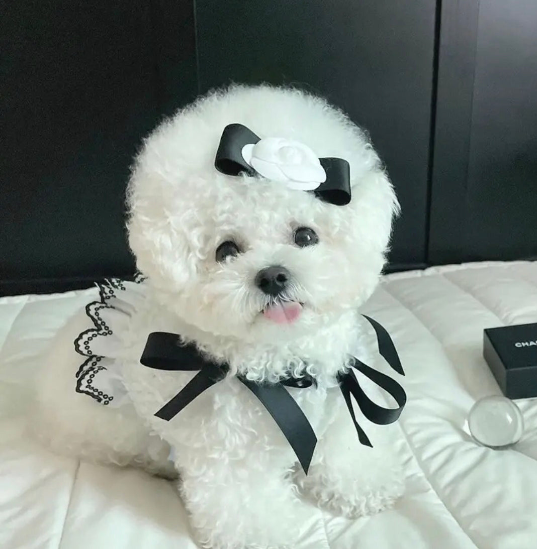 Coco Chewnel Pearl Dog Dress | Elegant Dog Dress