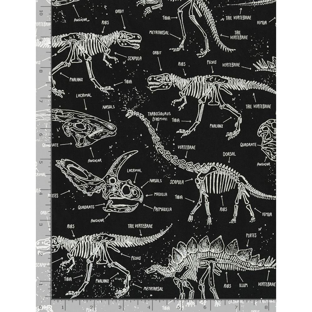 Squelettes de dinosaures phosphorescents par Timeless Treasures