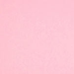 Colorplan 8.5X11 Papier cartonné 100#CV - 10 feuilles