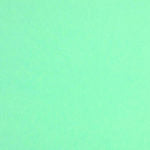 Colorplan 8.5X11 Papier cartonné 100#CV - 10 feuilles