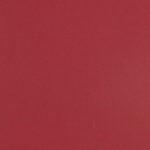 Colorplan 8.5X11 Papier cartonné 100#CV - 10 feuilles