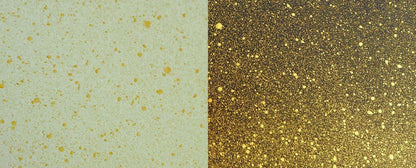 Cosmic Shimmer Vaporisateurs Sans Air Nacrés 50ml